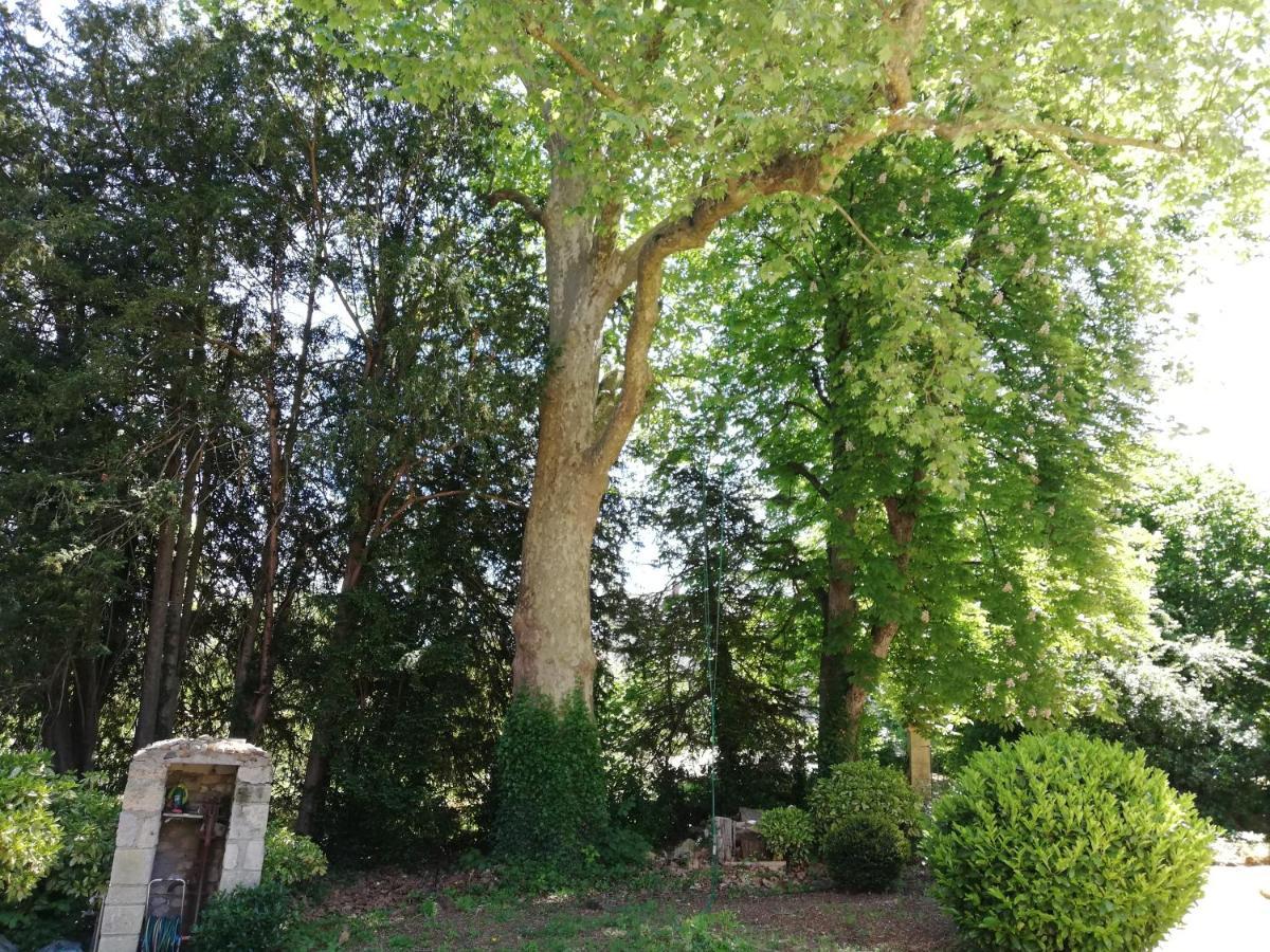 Manoir De La Touche Bed & Breakfast Azay-le-Rideau Luaran gambar